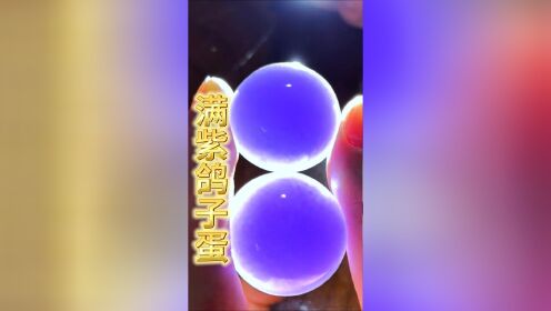 粉丝四年前18万买的一对满紫鸽子蛋!现在还值多少?