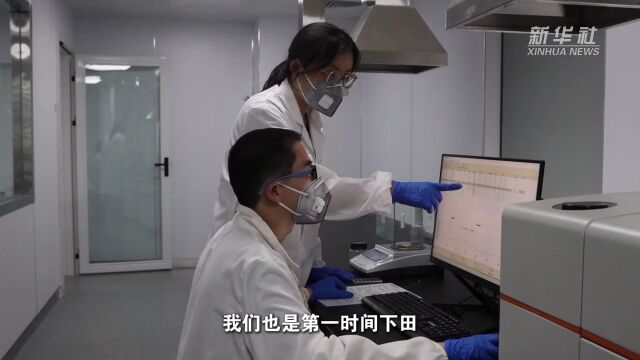 湖南南县:17.5万亩早稻"交卷" 牢守粮食"质检"关