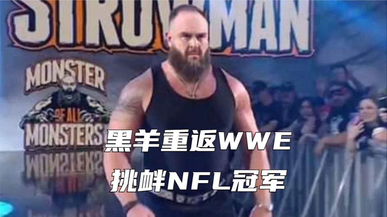 wwe布洛克vs黑羊图片