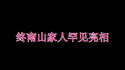 钟南山女儿颜值超高太长脸了!