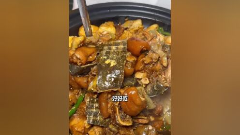 甲鱼烧猪蹄图片