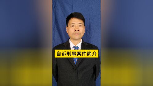 自诉人依法直接向法院提起的刑事诉讼是自诉刑事案件.