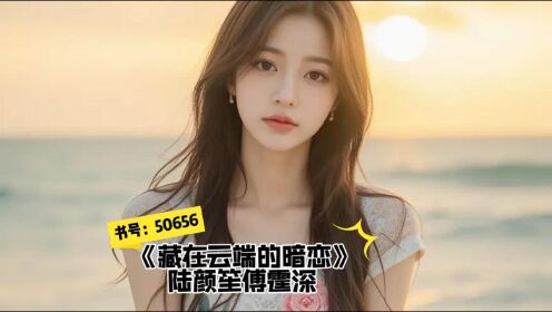 一口气读完 宝藏全文《藏在云端的暗恋》陆颜笙傅霆深小说完结版