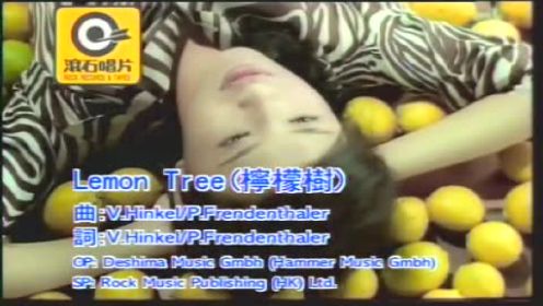 柠檬树(Lemon Tree)