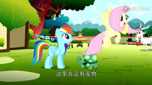 小马宝莉友谊魔法 第二季 7集