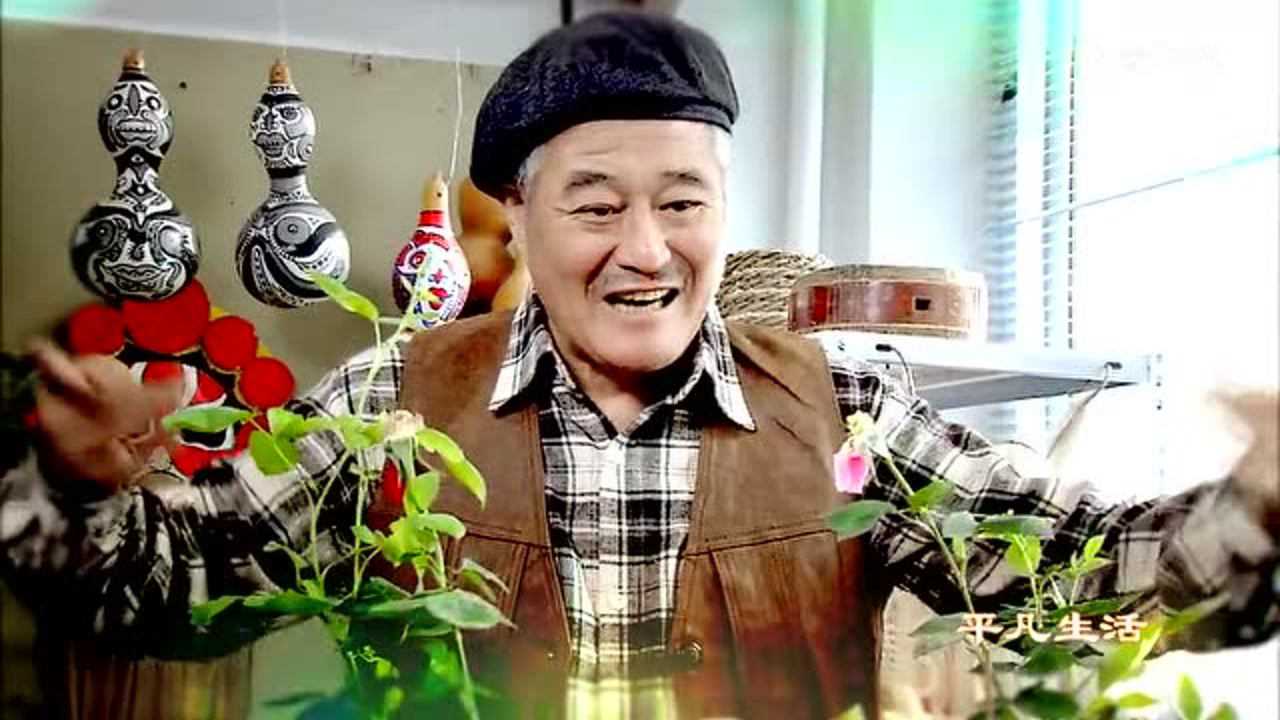 不是钱的事 37集
