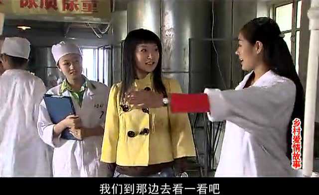 乡村爱情故事 13集
