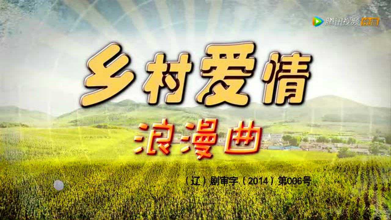 乡村爱情8（下） 29集