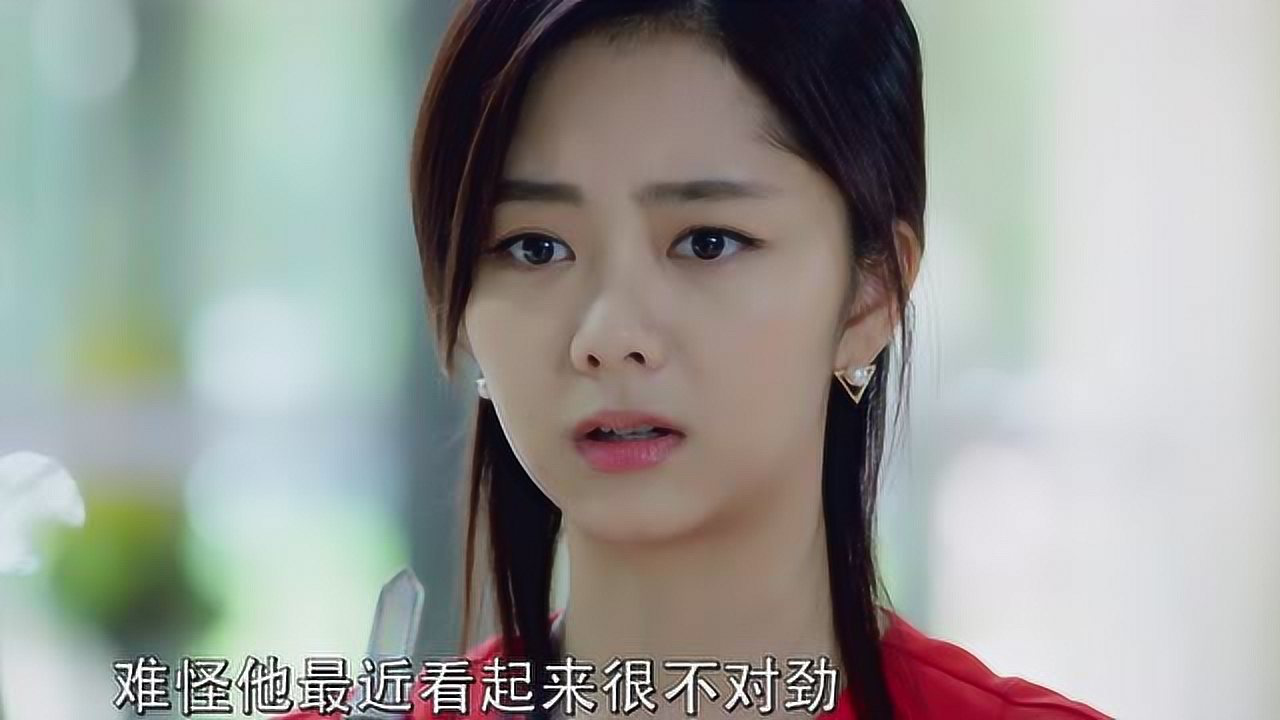 狐狸的夏天第二季 19集