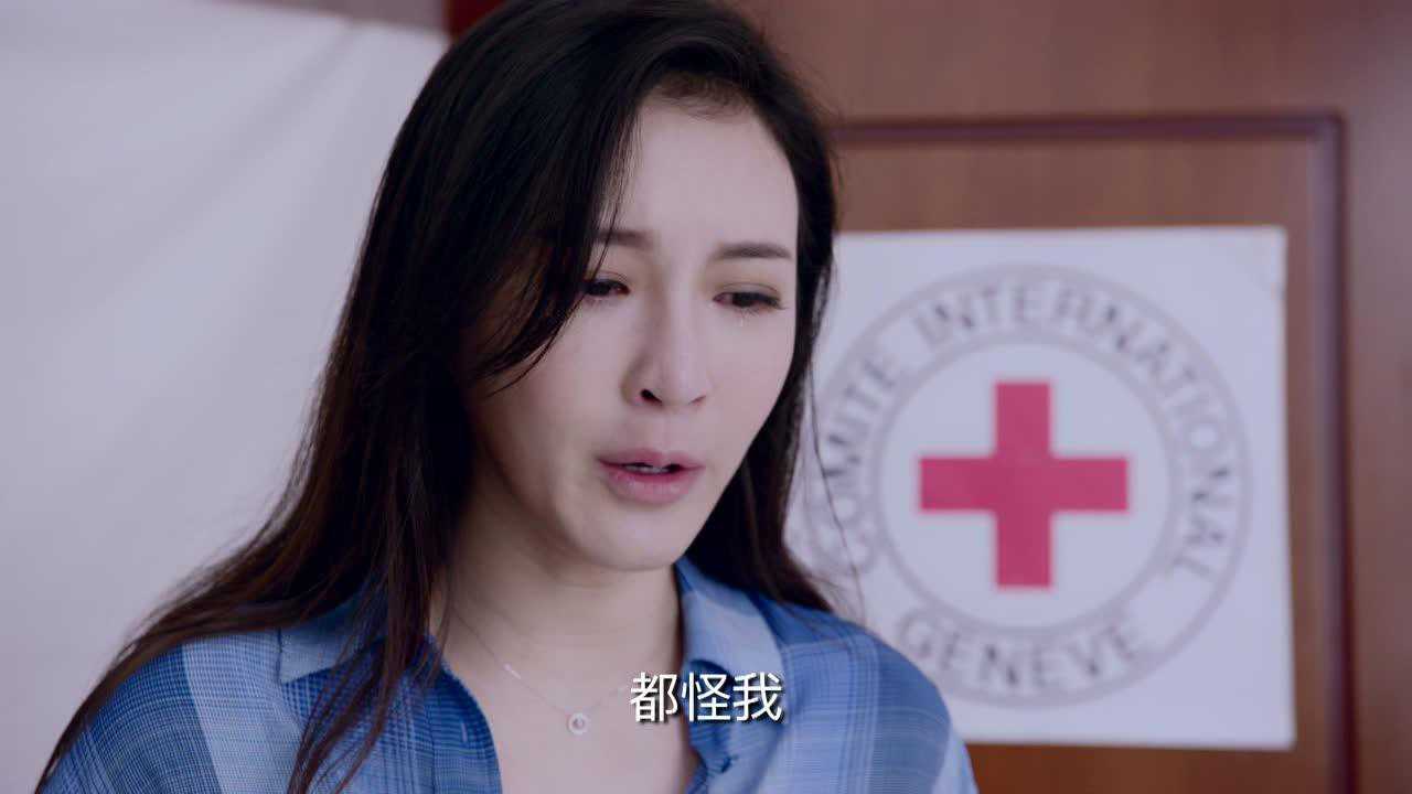 维和步兵营 24集