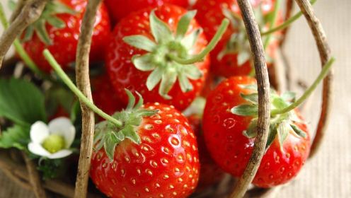什么？你吃的草莓竟然是假果？表面的黑点才是果实？