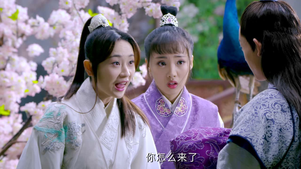 梁山伯与祝英台新传 15集
