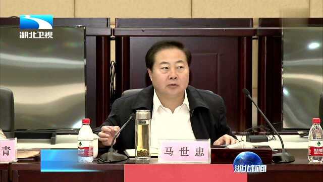 马世忠在湖北法院调研时强调 切实抓好宪法学习宣传贯彻 维护宪法权威保证宪法实施