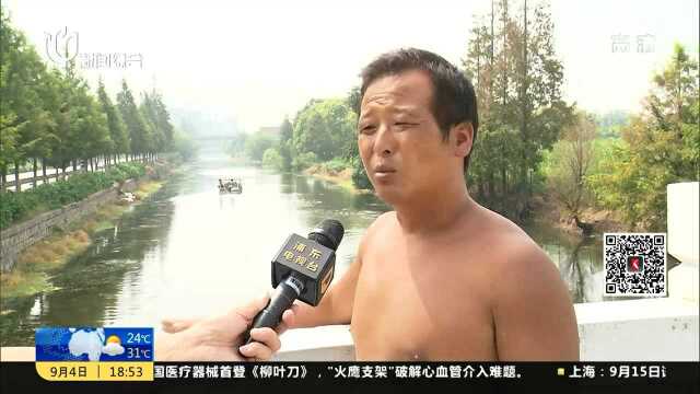 泥城镇:应对夏季水草疯长 水上割草机加强保洁