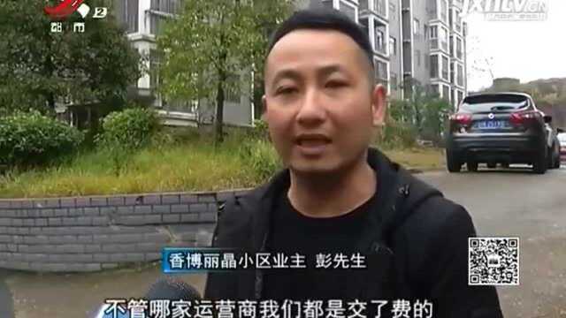 数十户人家突然断网 业主说有人剪网线