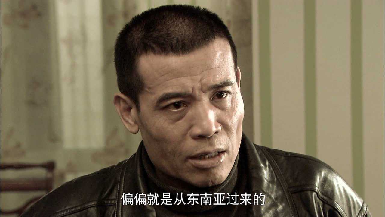 惊雷行动 26集