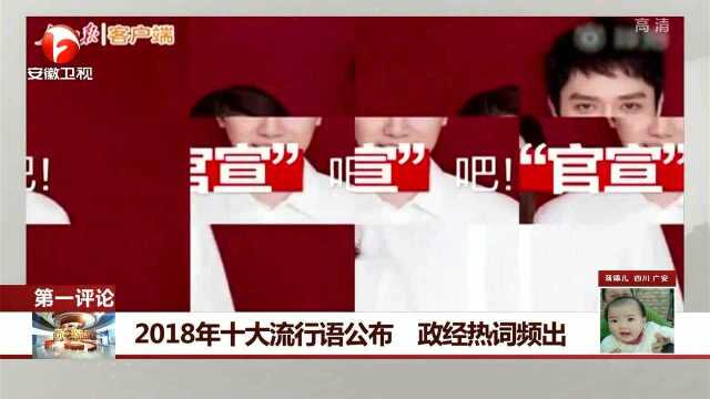 2018年十大流行语公布 政经热词频出