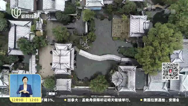 一夜雪落银装素裹 城市在“白色童话”中苏醒