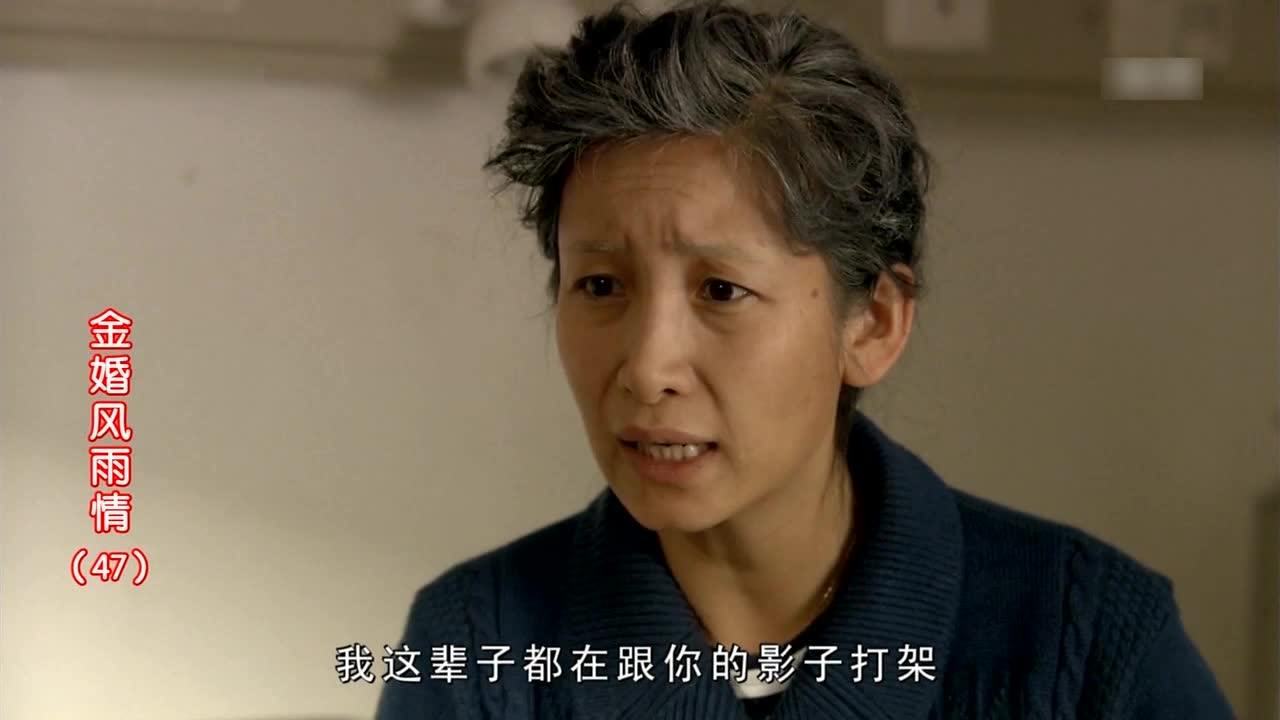 金婚风雨情 47集