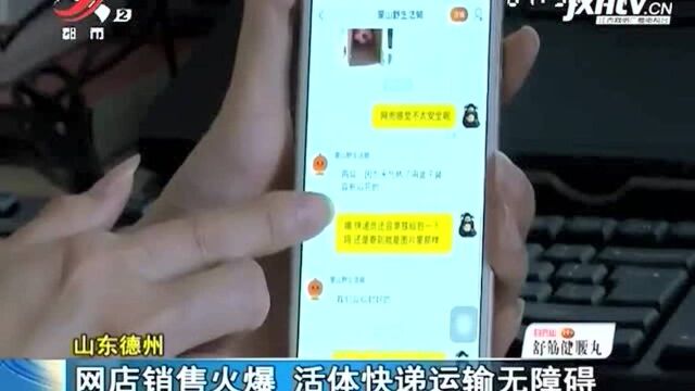 网点销售火爆 活体快递运输无障碍