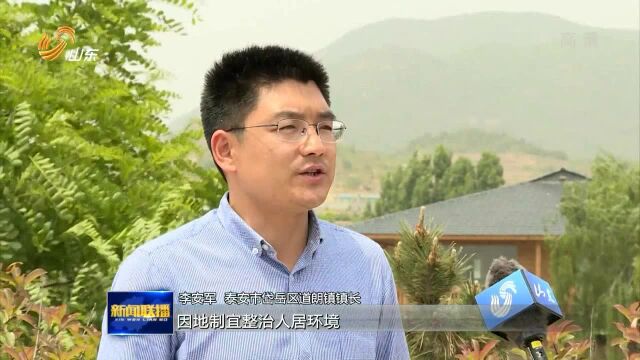 泰安岱岳区:昔日穷山村变身旅游“网红村”