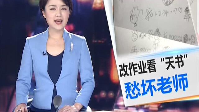 作业还是天书?写字课纳入中小学课程