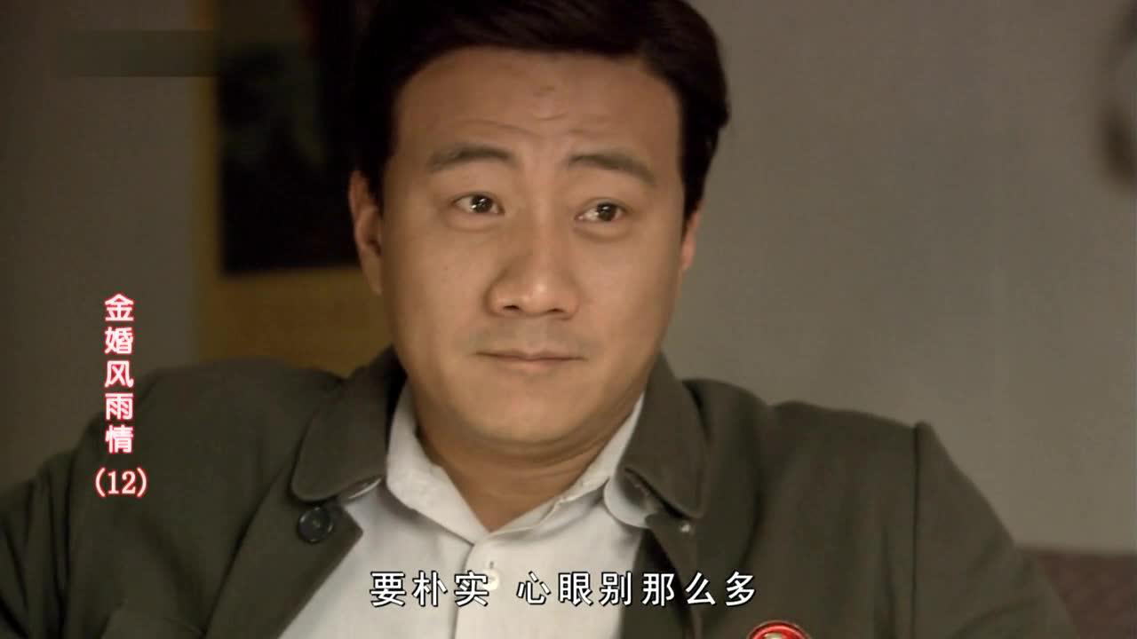 金婚风雨情 12集