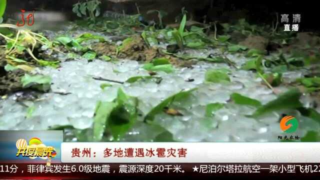 贵州:多地遭遇冰雹灾害