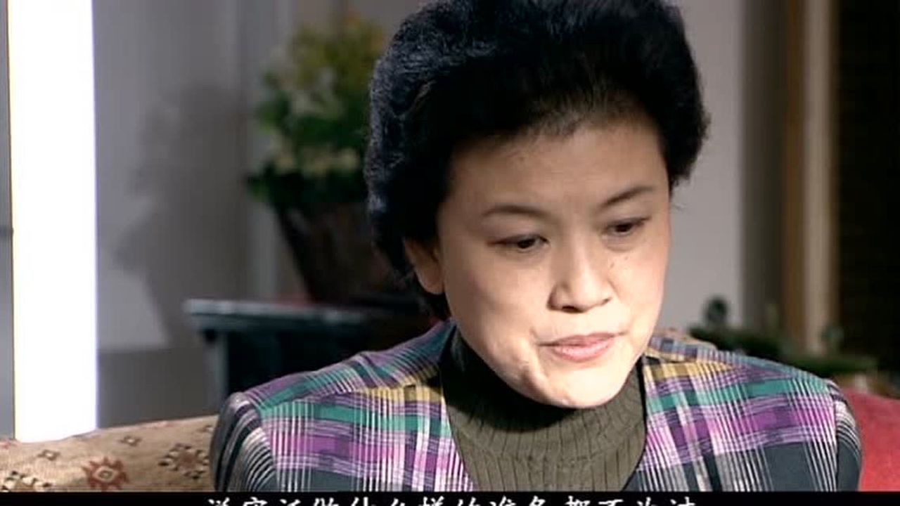 黑蚂蚁 19集
