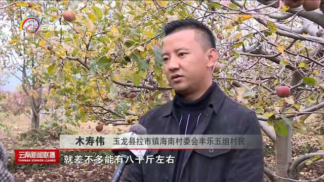 丽江:搭乘“电商快车”“山货”飞出大山