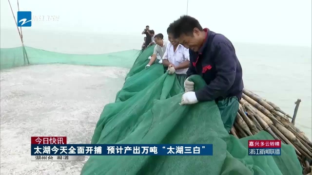 今日快讯:太湖今天全面开捕 预计产出万吨“太湖三白”