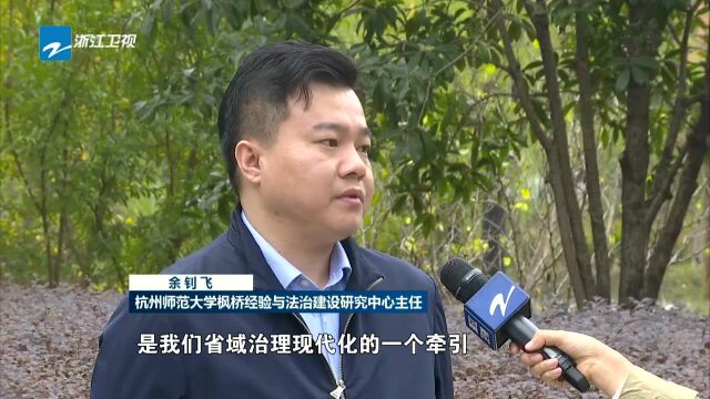 争当省域治理现代化排头兵:“10招23式” 打造省域治理现代化的浙江样本