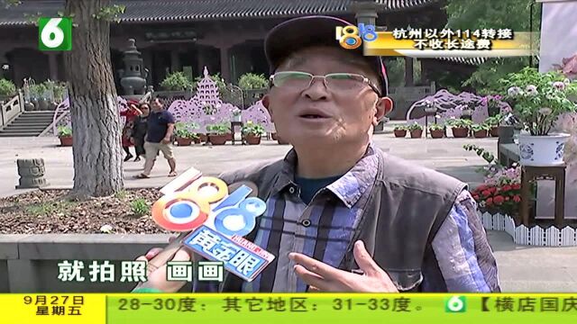 牡丹反季盛开 栽培也用“黑科技”