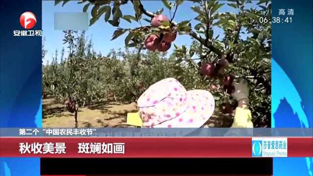 第二个“中国农民丰收节”秋收美景 斑斓如画