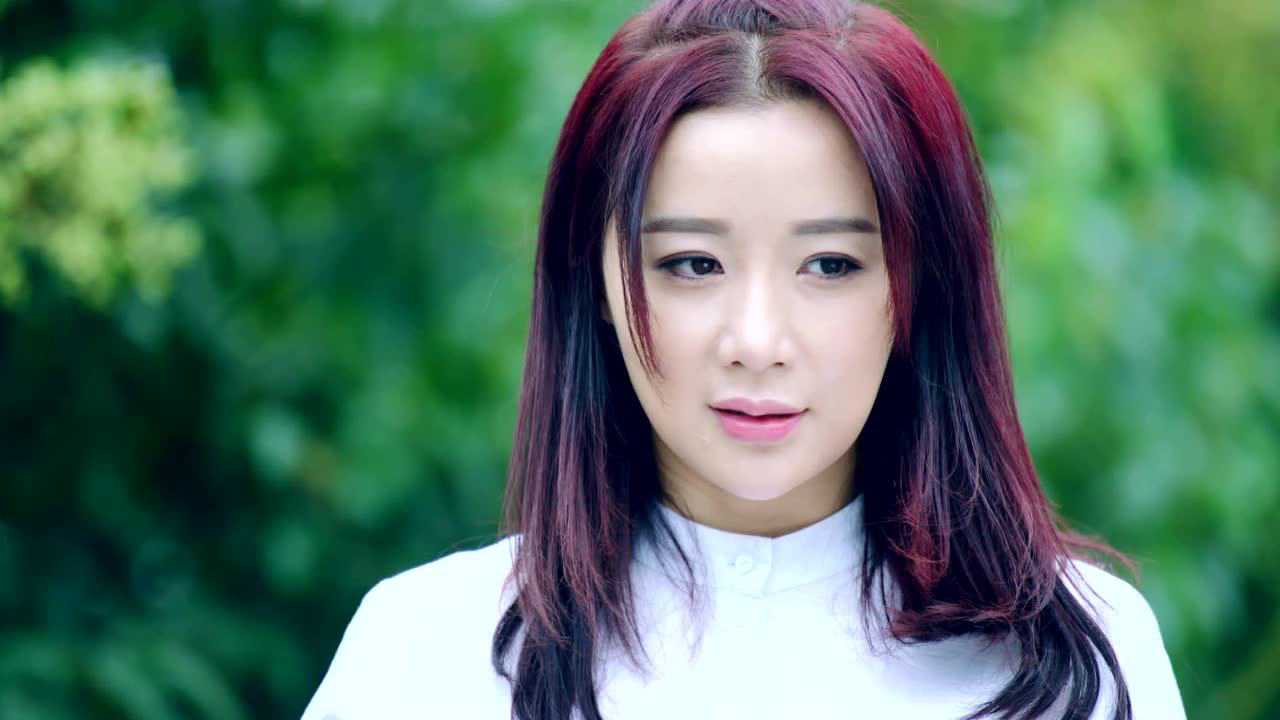 好妻子 9集