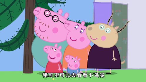 小猪佩奇第7季_洞穴_少儿_动画片大全_腾讯视频