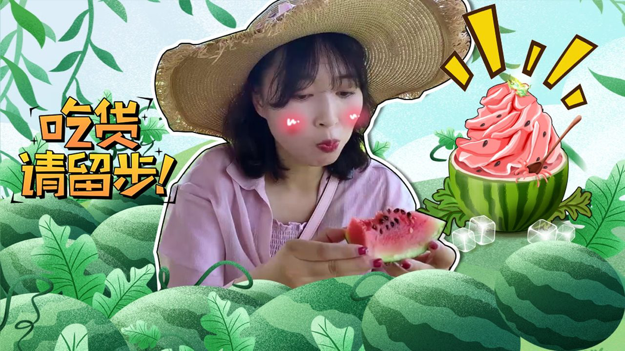 奇探队长：农场劳动季 14集