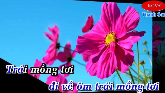 Tr㡩 Mồng T桩