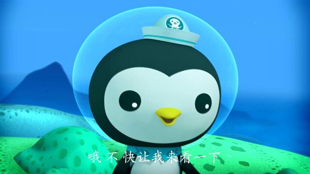 海底小纵队 第1季:皮医生帮小螃蟹包扎