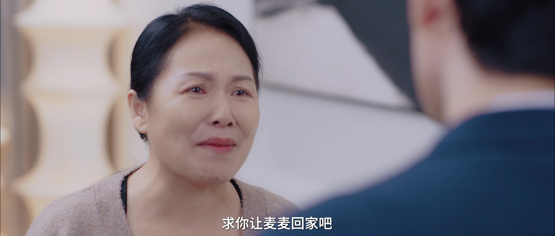 只是未婚妻的关系 13集