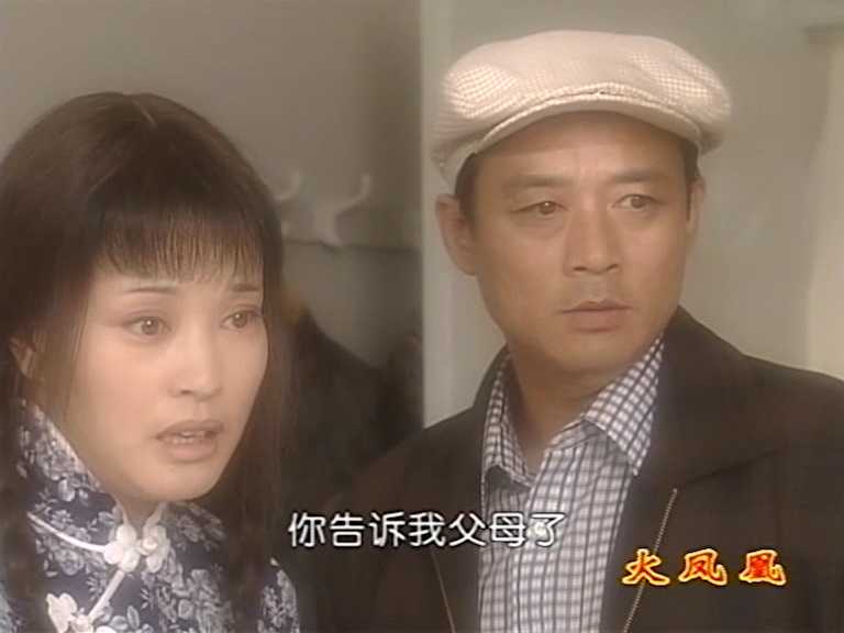 火凤凰 27集