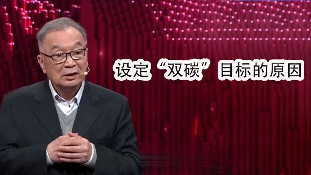 温铁军解读设定“双碳”目标的原因