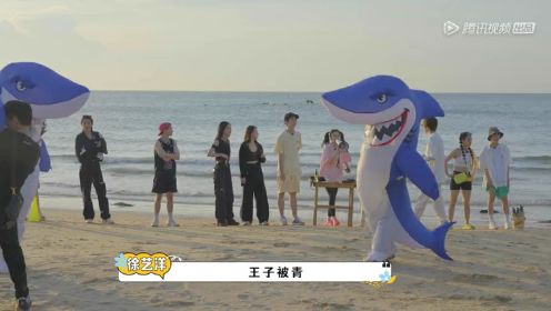花絮：桃花坞“鲨鱼游戏”，海边上演群鲨乱舞
