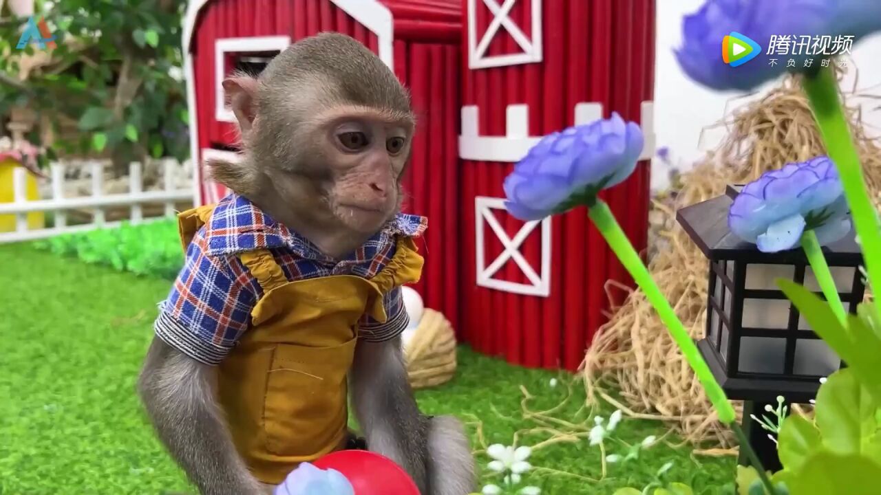  1080P 