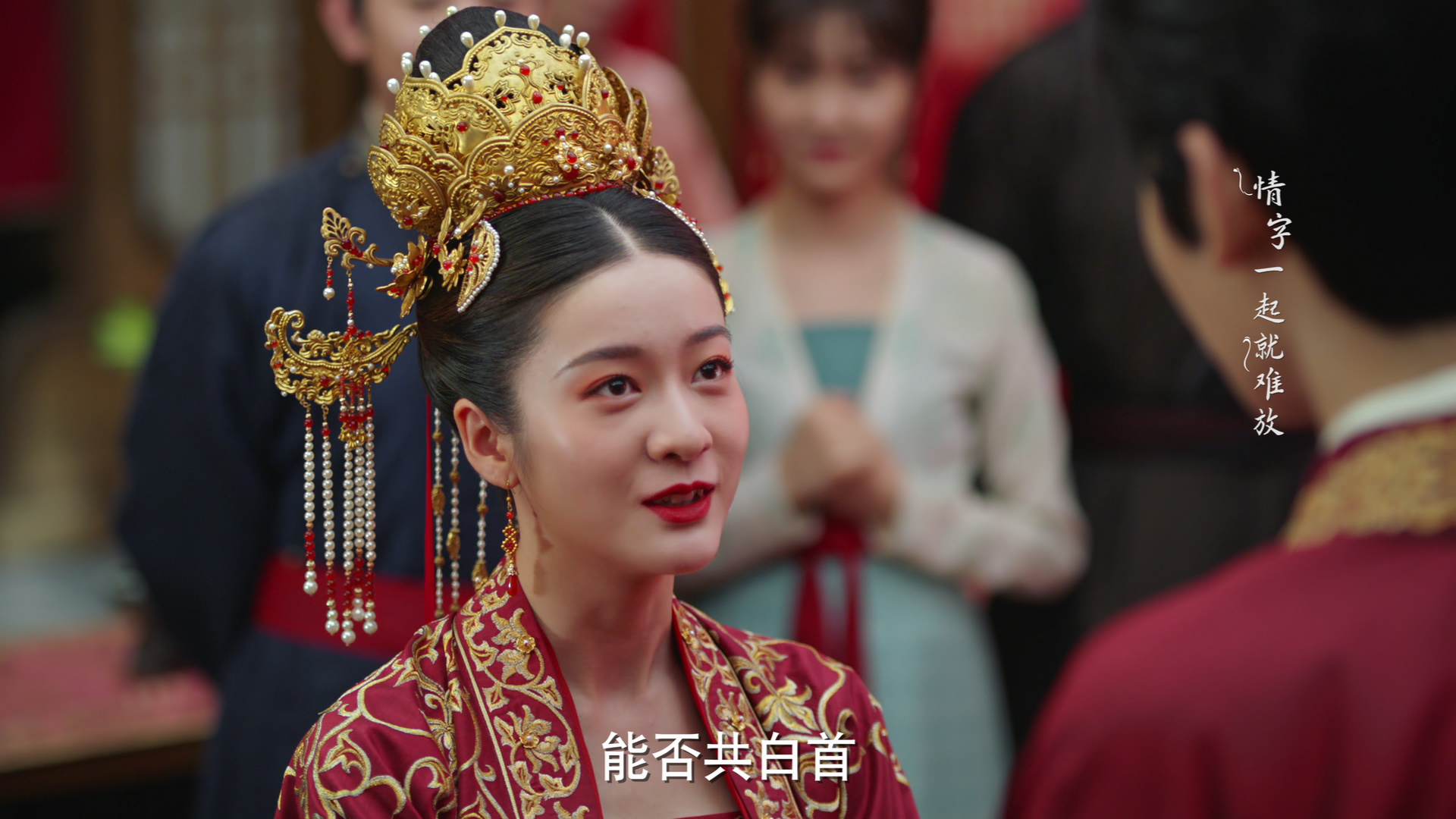 择君记 30集