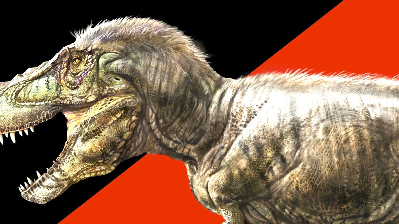 pnso恐龙博物馆:霸王龙威尔逊的秘密