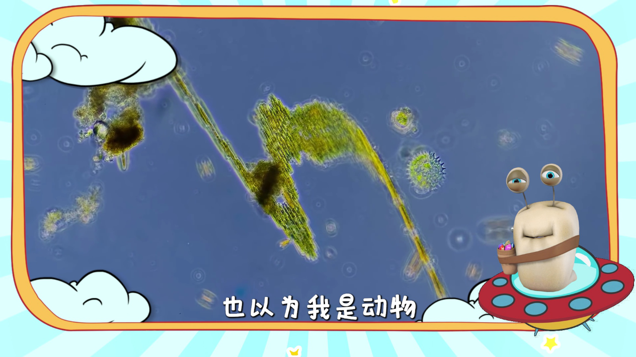 白白侠的微生物朋友 19集