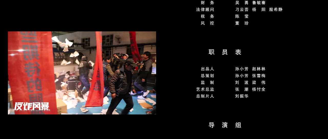 反诈风暴 12集