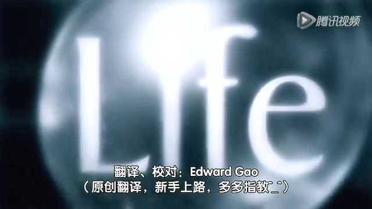 高清1080P在线观看平台_腾讯视频