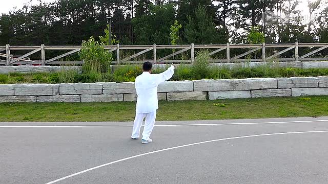 48式太极拳背向口令示范演练天地人